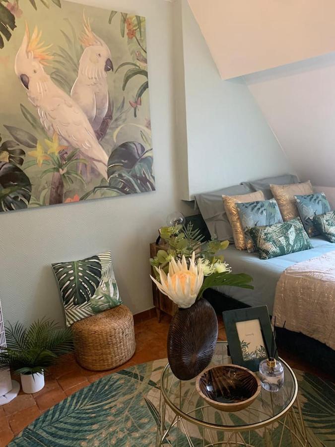 Escale Tropicale A Appartement Blois