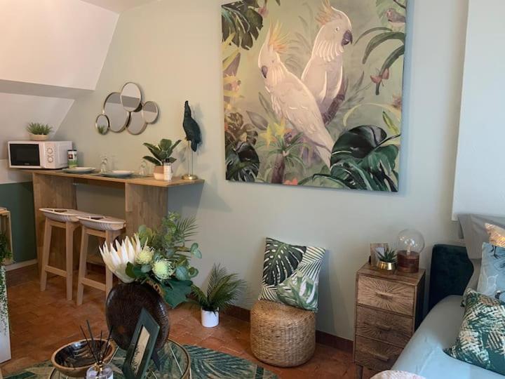 Escale Tropicale A Blois