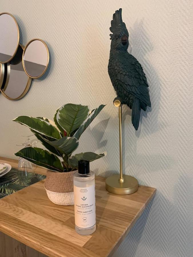 Escale Tropicale A Appartement Blois